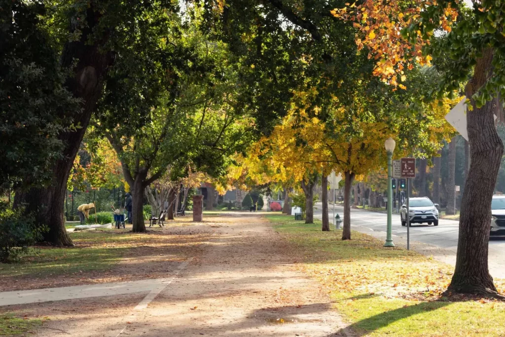 McKinley Park in Fall, Sacramento Tree Foundation, Licensed under Creative Commons.