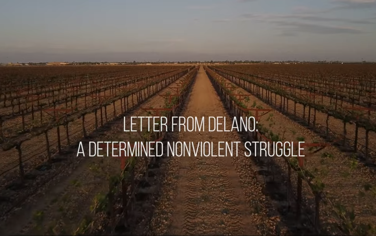 Letter from Delano: A Determined Nonviolent Struggle